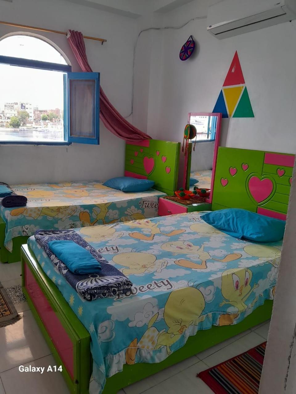 Nile View Rana Nubian Guest Houes Hotel Aswan Ngoại thất bức ảnh